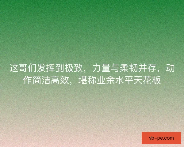 这哥们发挥到极致，力量与柔韧并存，动作简洁高效，堪称业余水平天花板